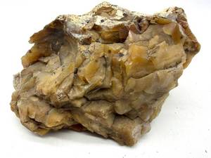 Large Petrified Wood Specimen 3 Lb 7 Oz