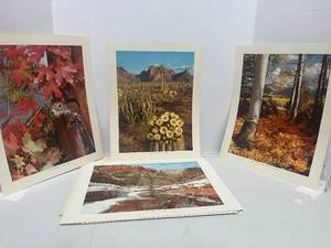 8 Vintage Unframed Nature Prints Various Photographers 14 X 11