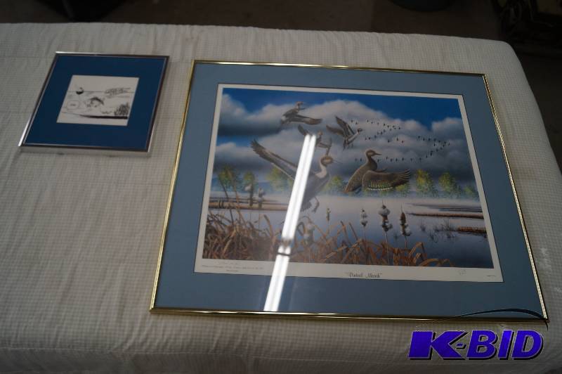 Framed Pictures