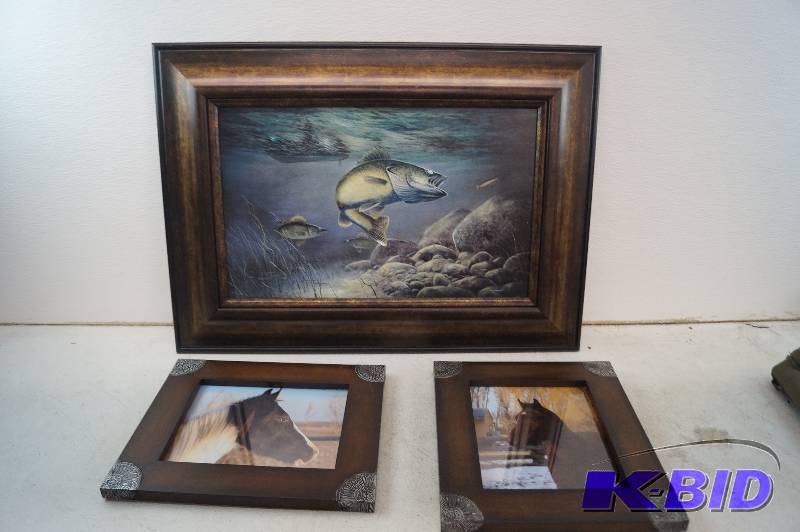 Framed Pictures