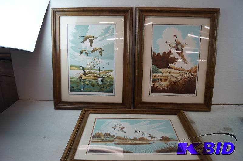 Framed Pictures