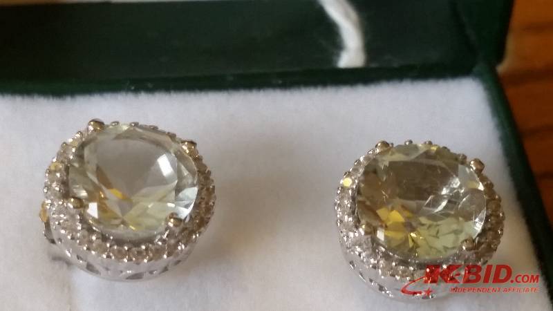 Halo Style Earrings