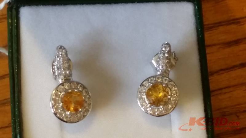 Dangle Style Earrings