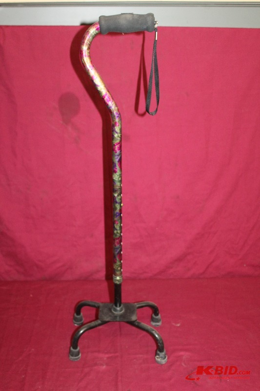 Cane