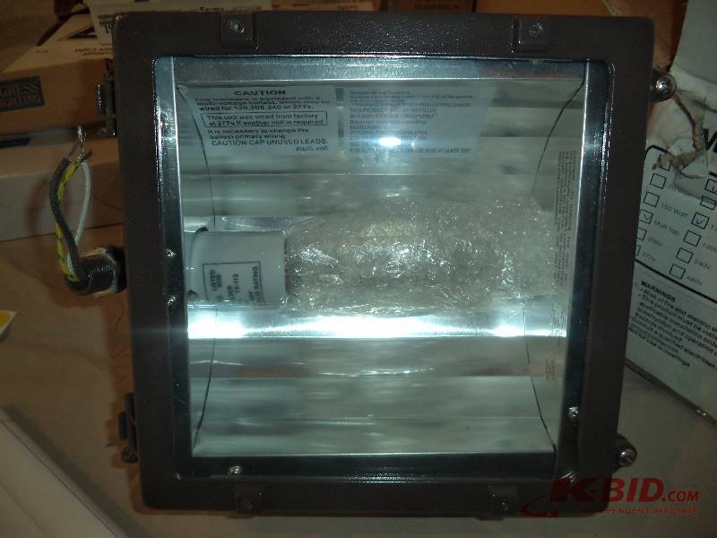 lot 1 image: Flood Light