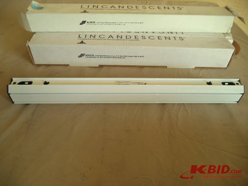 lot 56 image: LINCANDESCENTS.  Surface mounted lights