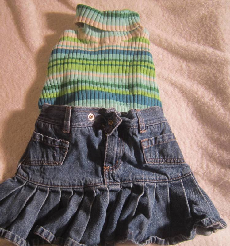 Multi Stripe Turtleneck Size 6-6x & Childrens Place Jean Skirt Size 6