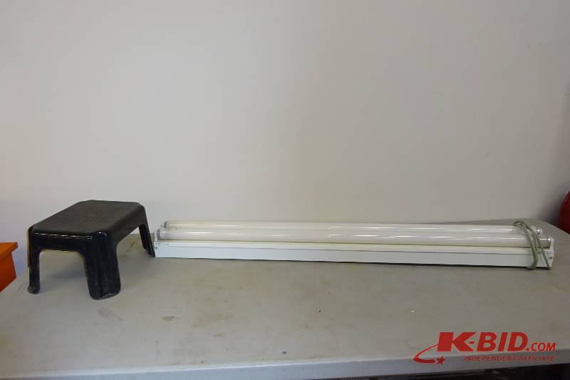 4 Fluorescent light and stool