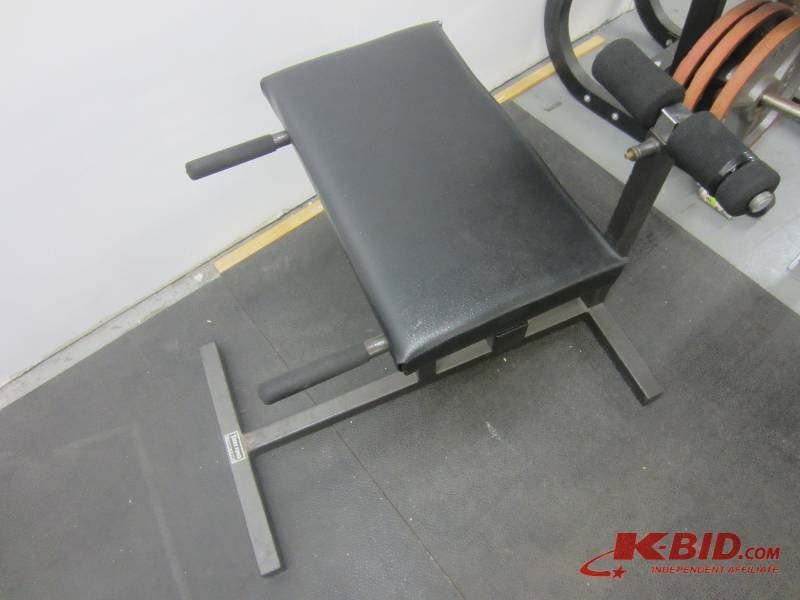 lot 30 image: Roman Chair By Body Power