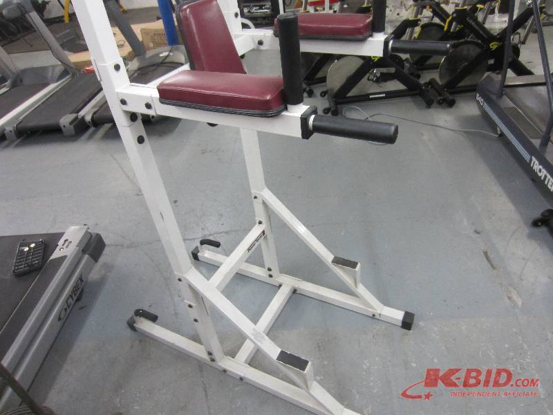 lot 33 image: Golds Gym brand Pull Up Dip