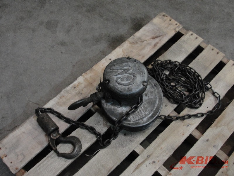 lot 10 image: Chain Hoist