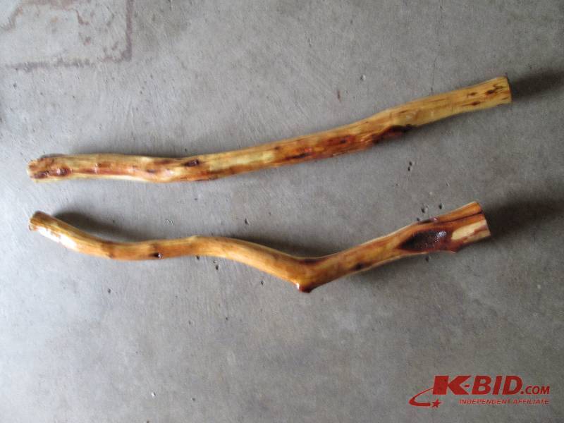 lot 20 image: 2 sticks of Diamond Willow wood, gr...