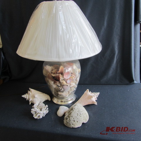 Seashell Filled Lamp & Extra