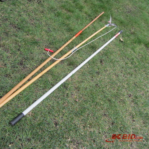 Eagle Tree Saw