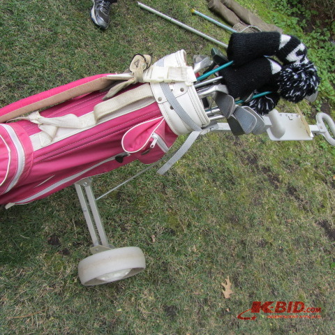 Ladies Golf Bag, Cart, Clubs