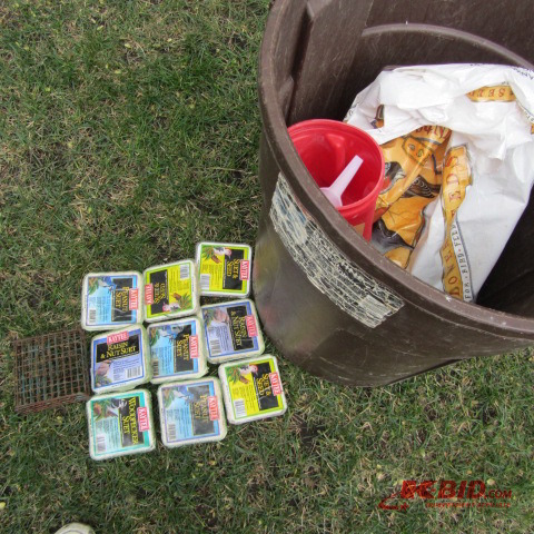 Bird Seed