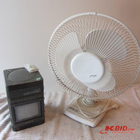 Fan, Television
