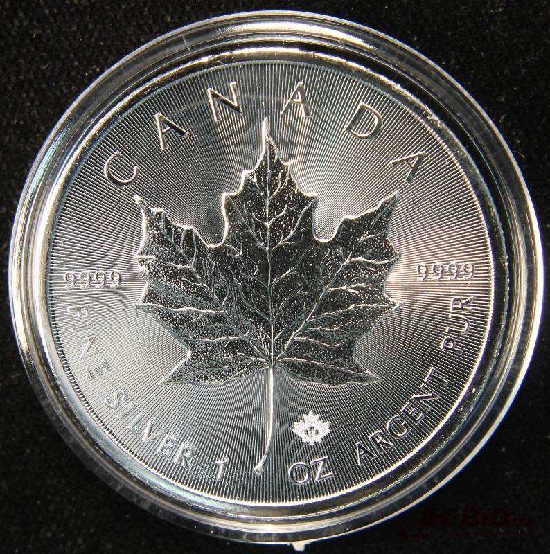 2015 1 TROY Oz. .9999 FINE SILVER CANADA MAPLE LEAF IN CASE