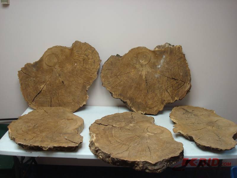Lot Of Large Cut Wood Slabs