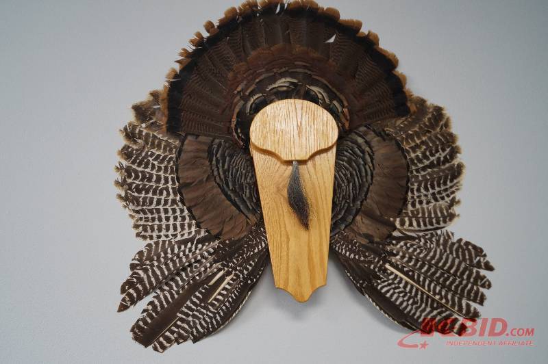 Turkey Mount