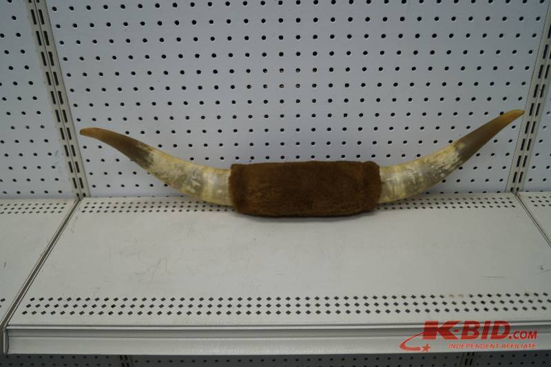 Bull Horn Mount