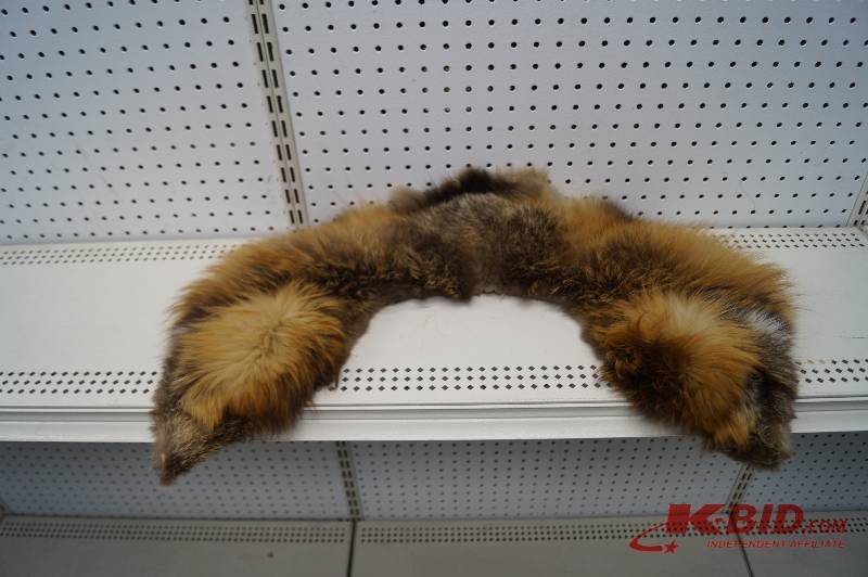 Coyote Collar