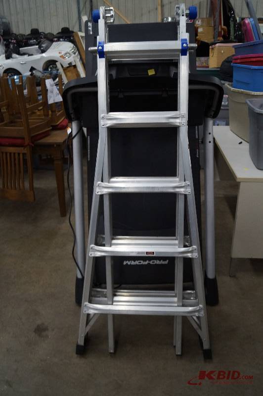 Folding Ladder