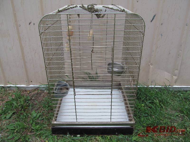 Hanging Bird Cage