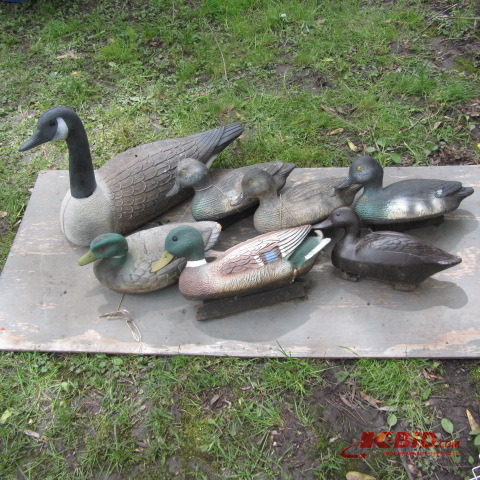 Duck & Goose Decoys