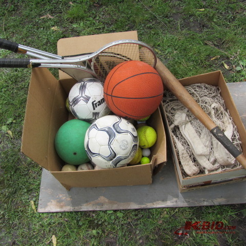 Sports Balls