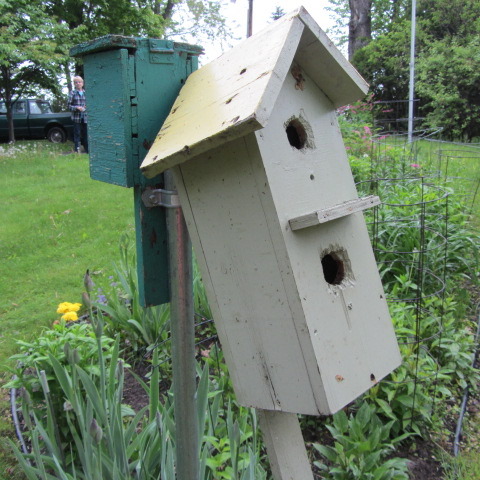 Bird Houses on Posts