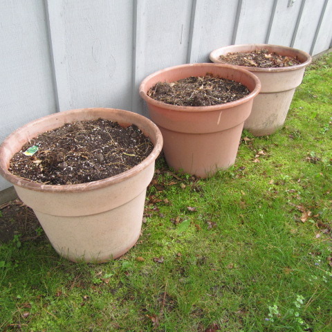 Planting Pots