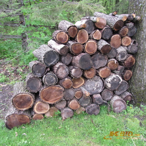 Black Walnut Sections