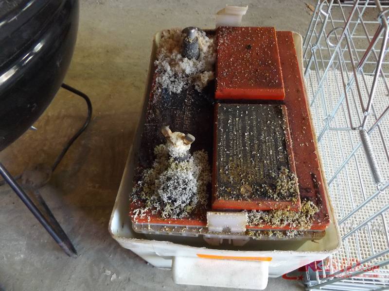Marine Battery and box