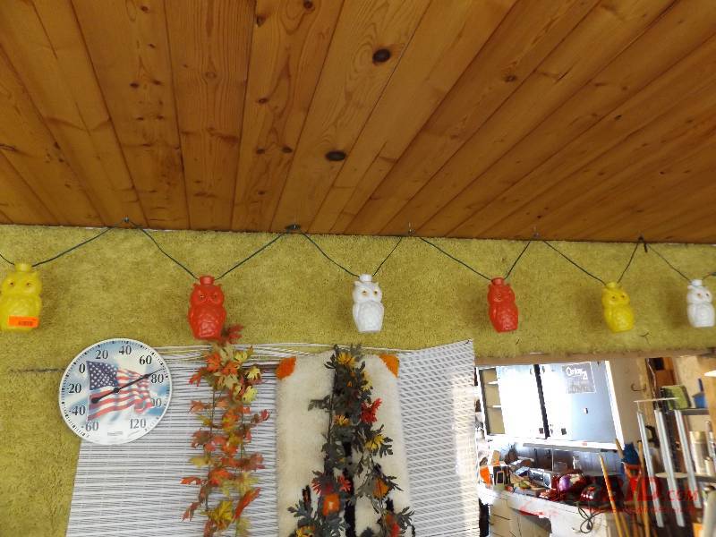 owl lights