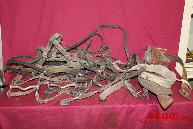 Lot of Horse Stuff