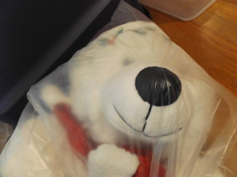 Holiday Bears
