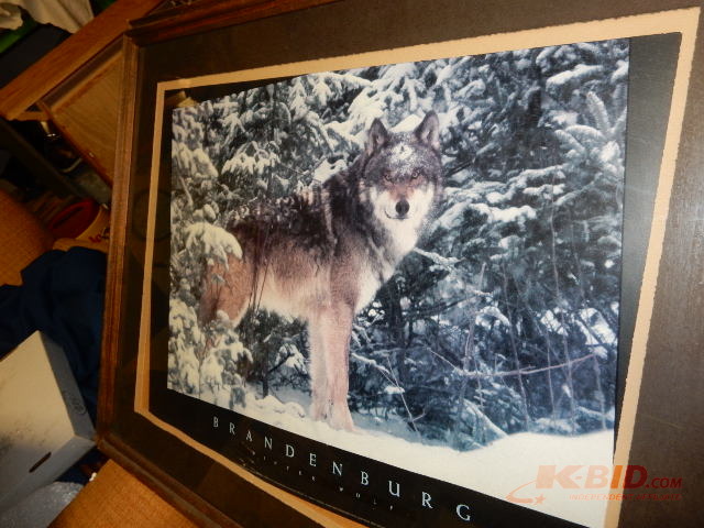 Brandenburg Wolf poster, Framed..
