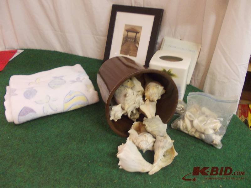 Box Lot Sea Shells & Beach Decor