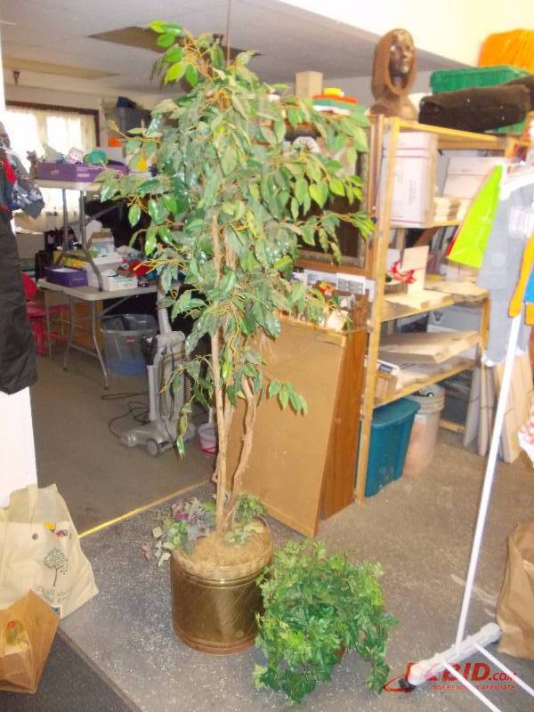 Artificial Ficus Tree With Brass Pot & Artificial Plant