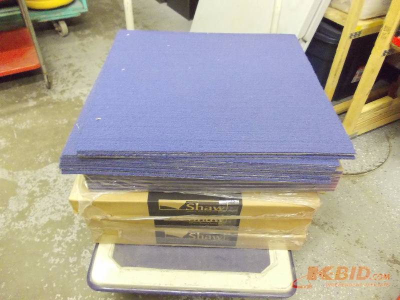 Shaw Carpet Tiles (5-Bundles Of 12 Each 24x24 Blue Carpet Tiles)