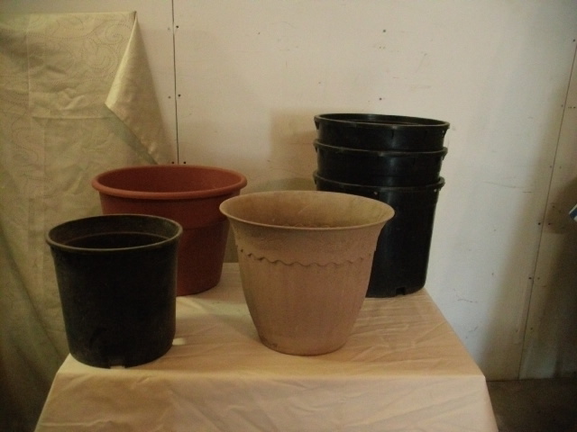Starter Pots, Flower Pots