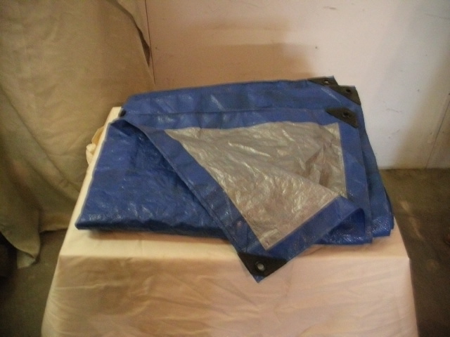 Tarp