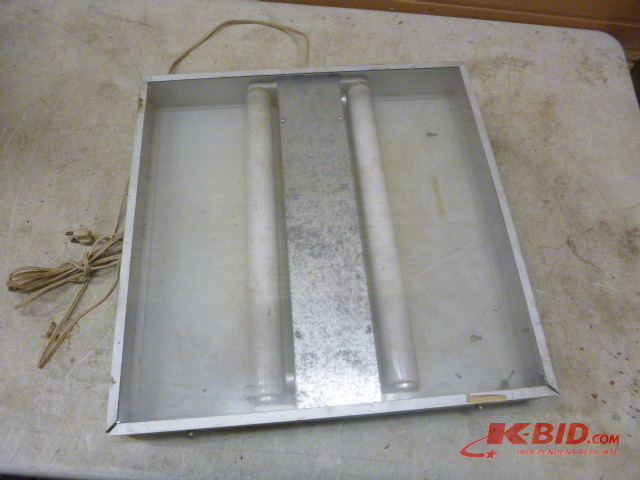 lot 99 image: Fluorescent Wall Light
