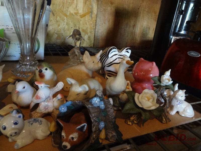 Animals