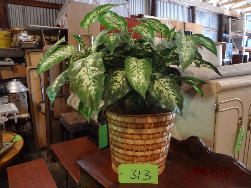 Fake Plant, Waste Baskets