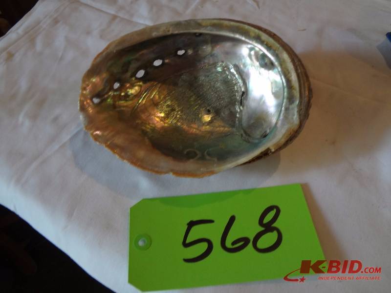 Incredible Clam