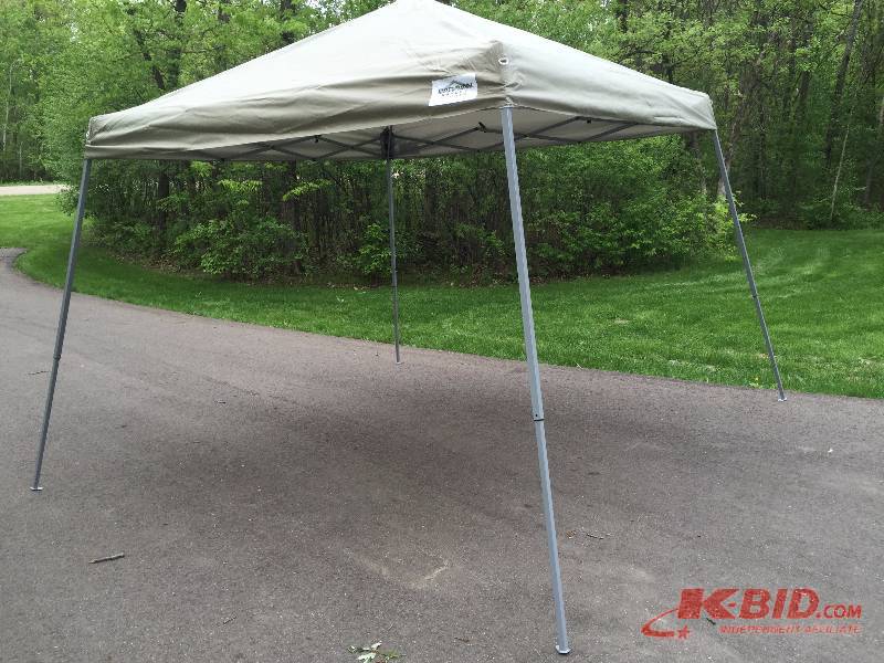 10 X 10 Canopy