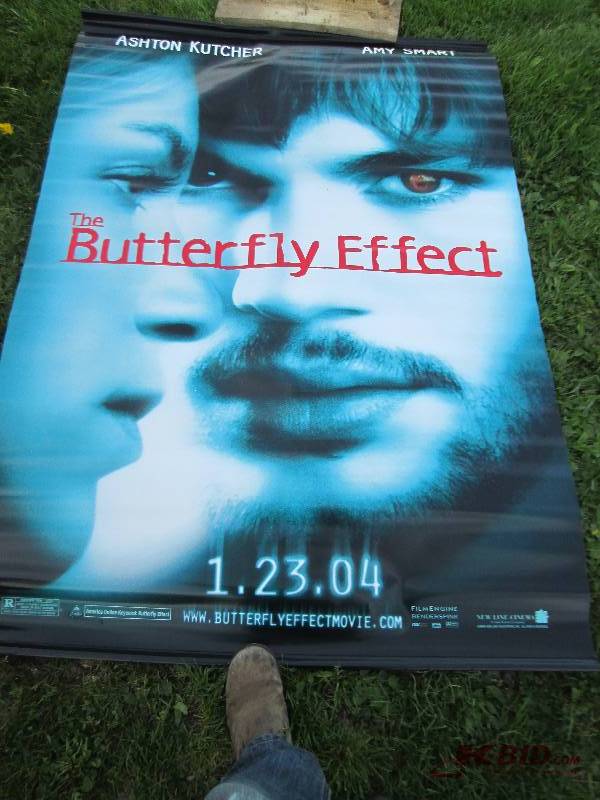 lot 102 image: 48 x 72 inch The Butterfly Effect m...
