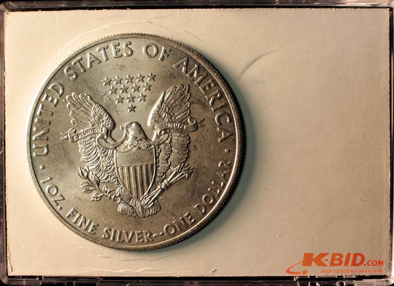 2014 US SILVER EAGLE IN PATRIOTIC PLASTIC CASE